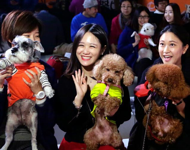 �������ݡ��ȹ���̺�㡱 �������������ǡ�