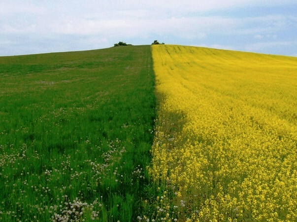 ��������֮�� ��Ȼ��׳�۵ġ�����������