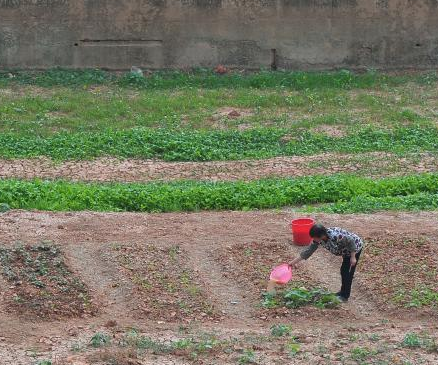 ����һ�����Ӵ������ѳɲ˵� �Ӱ���ũ����