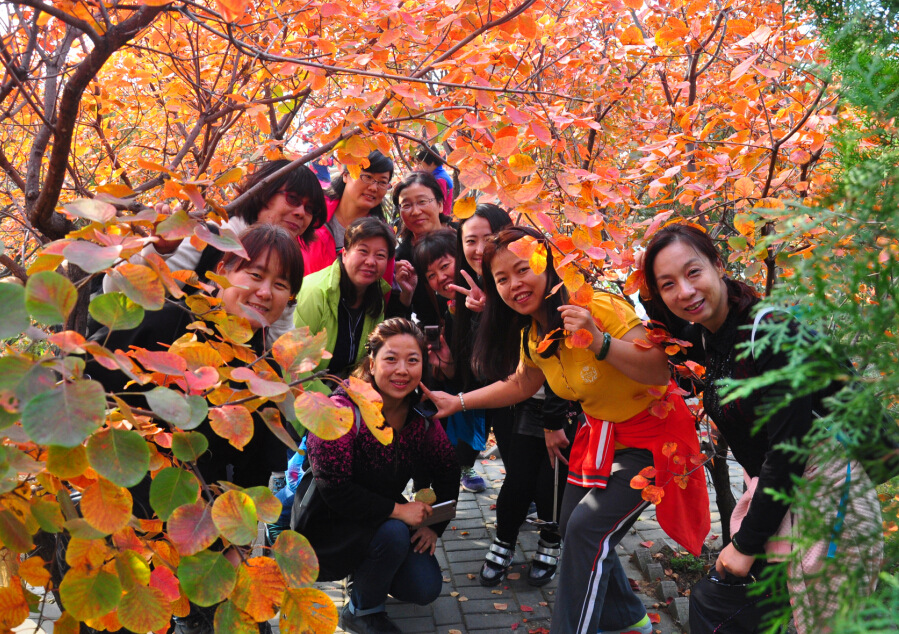 ��ƽ��Ҷ���ͺ�Ҷ �µǷ御���ų��ǡ����н�һ�ְ�װ��˾�ھŽ�Ůְ����ɽ���