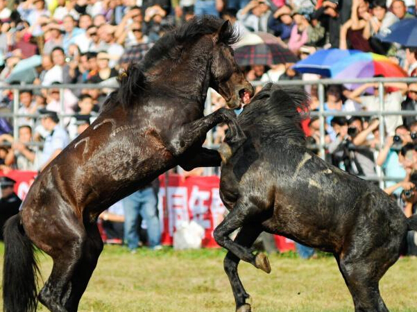 ������ˮ«�϶����ڡ�