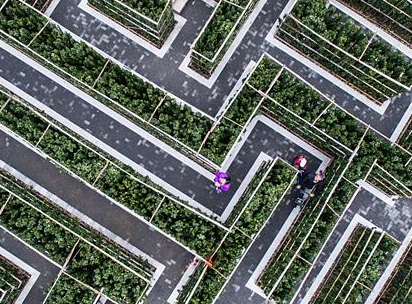 ����������������⹫԰��԰��