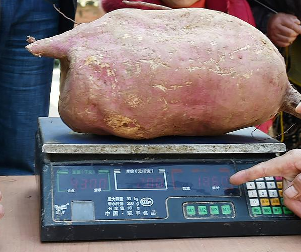 ���������֡��������� �����ؾŹ��