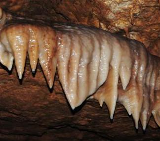 ���������Ȼ�ܶ� ����7����¶���ݡ�