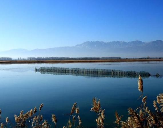 ��������ʪ��ˮ�����١�