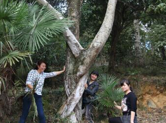 ���������ְ�����ʷ���� �������ϱ�����������