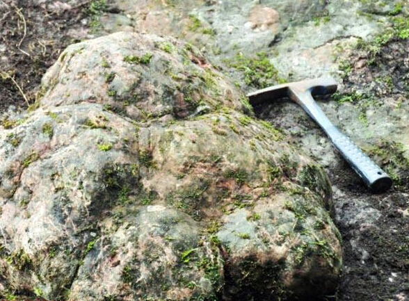 �Ĵ����ݷ��ֳ�60���׾��Ϳ�����ӡ��