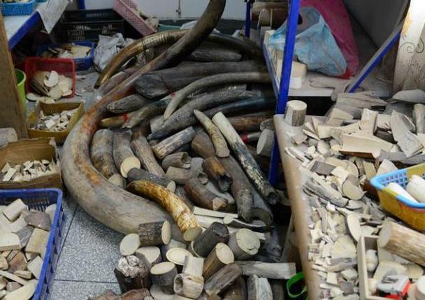 ����ɭ�ֹ����ɻ�������Ʒ600���