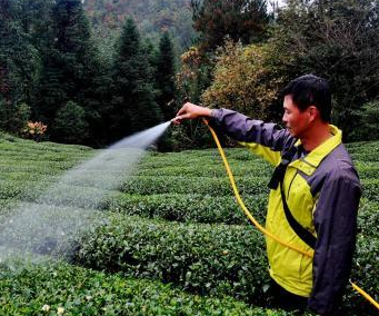 ������ɽ��ũ�ö��������Ҷ��