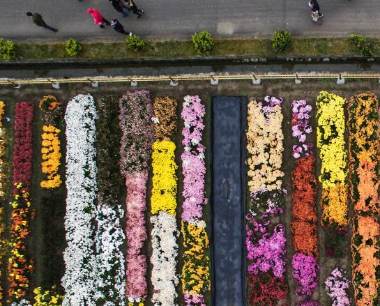 ����̺��ְ�쵻�����