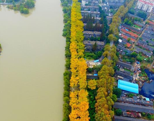 �������ݡ����Ӵ������