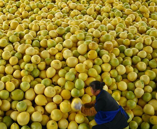 ����������ˮ���ַ��ա�