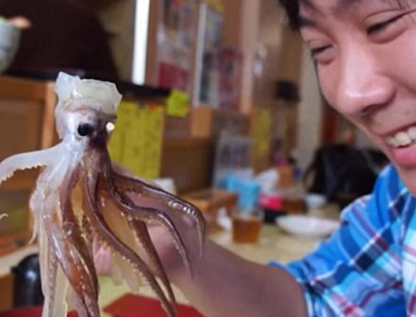 �����������ǽ����ߺ����硱