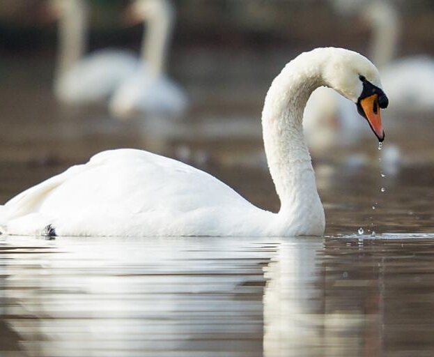 ������ů����