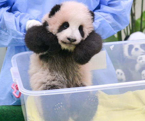 �й���������è�������ࡱ