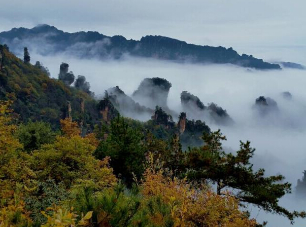 �����żҽ�����Դ�������ƺ������ɾ���