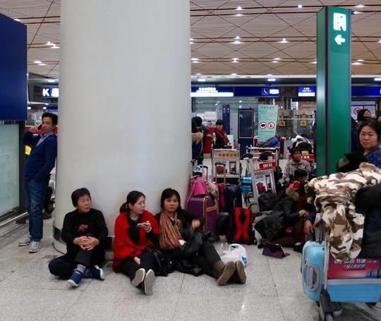 �����׶�����������������