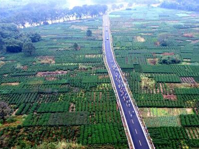 ���������ٰ�������г���������