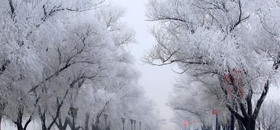 ��ڡ��Ȼ���ټ��� �ɻ����������ɾ���