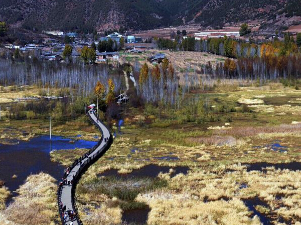 �߽�����ԭ���顱�������