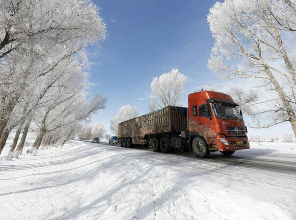 �½����ܱ������ֽ�ѩ������