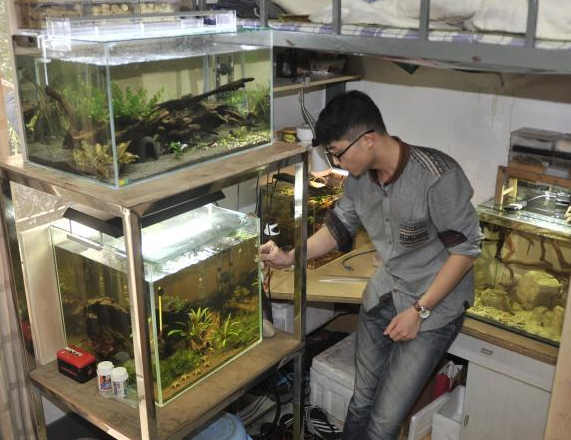 �о�������䡰ˮ��ݡ� ѧ����У԰������󻧡���