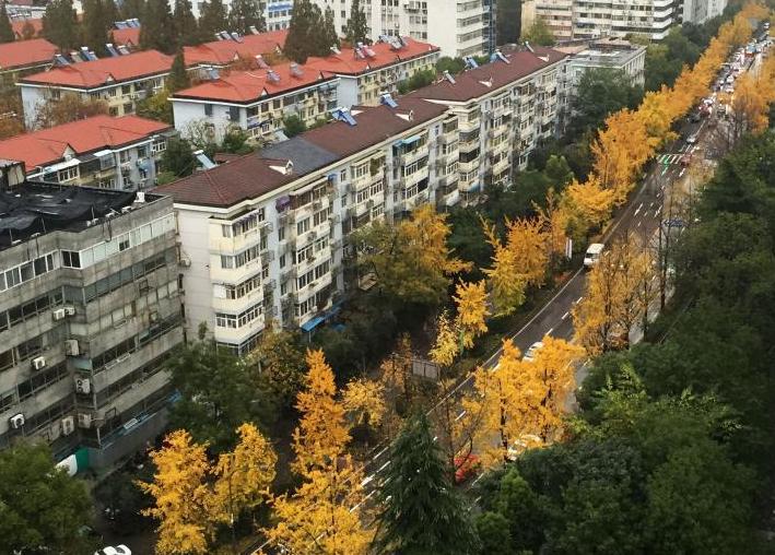 �Ͼ���ͷ����˿��������Ʈ�衱