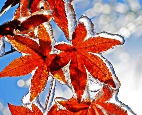 ��Ͽ�˲�������ѩת���־������ҡ�