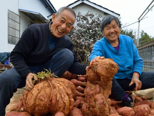 ����һ�����ֳ�37����� ���ơ����ްԡ���