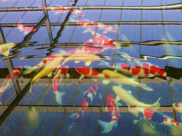 �ӱ���¡����ɫ������ֳ �ؿ��¸���·��