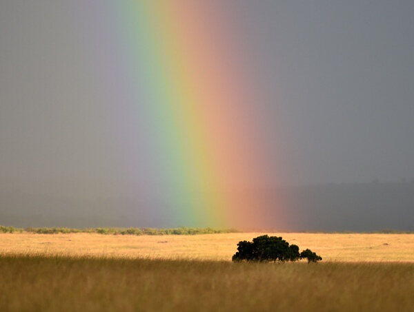 ���ǲ�ԭ���¡�