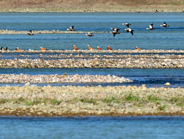 �ƺ�ʪ��Ⱥ���衱