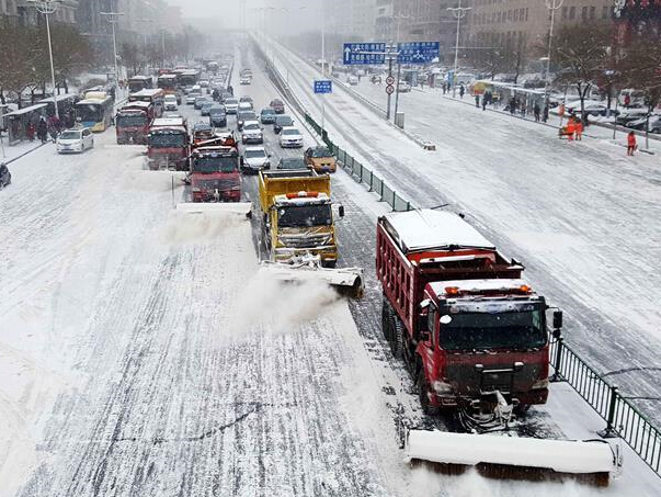 ������ӭ��ǿ��ѩ��