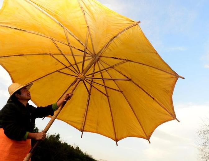安徽:一把油伞的非遗传承”