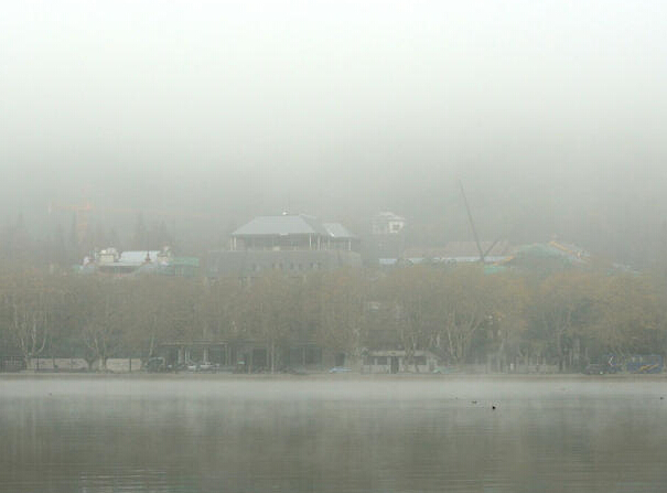 ��ѩ��ĺ�����������������