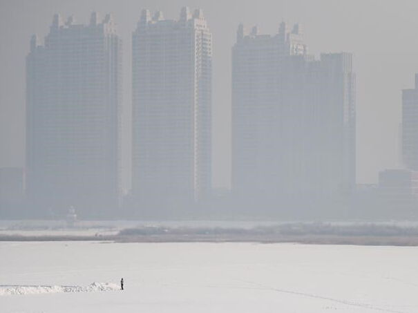 ������������Ⱦ������