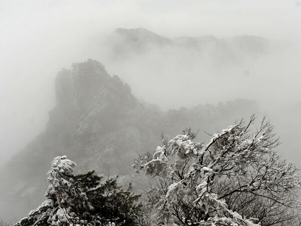 ѩ���䵱 ǧ�����ġ�