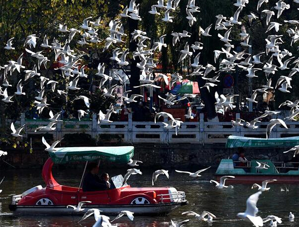 �������� ��Ÿͬ�֡�