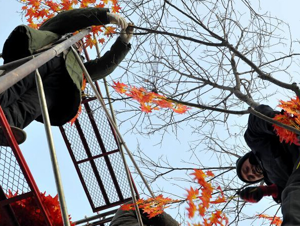 �ٺ�Ҷ�������� �����������ﾰ��