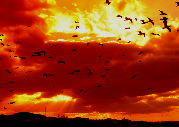 �����ƻ�����ƶ������� Ⱥ����з���׳���쳣��