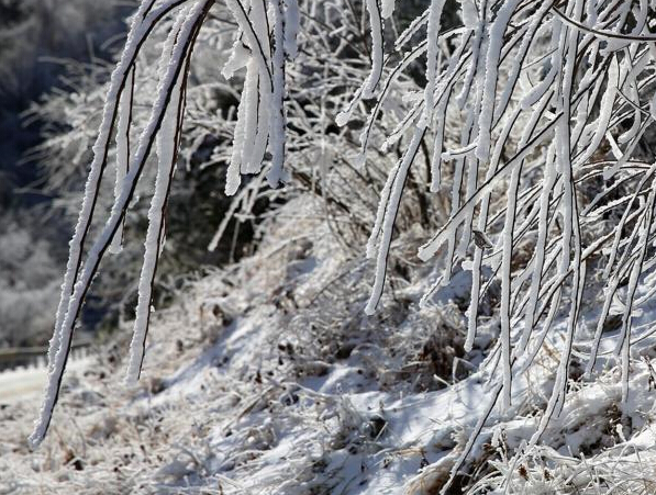 ����ƽ�����������������ɾ���