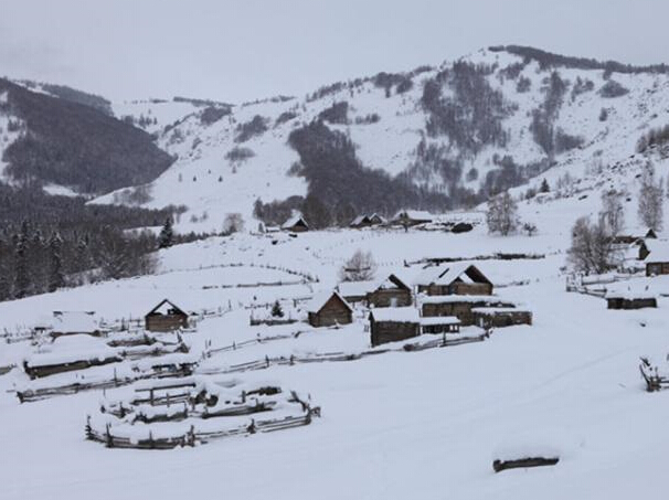 �½�������ѩ��������ͯ�����硱