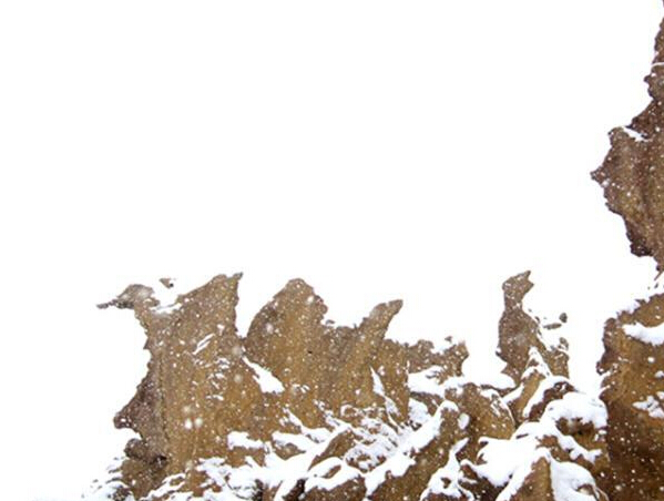 ½пѷʯִѩ조̬족