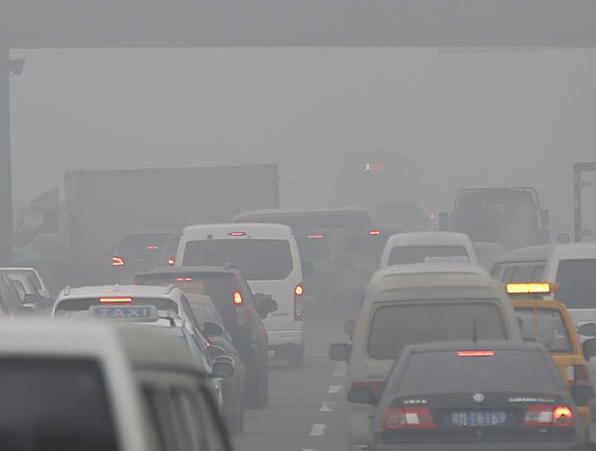 ��򷢲��׸�����Ⱦ������ɫԤ����