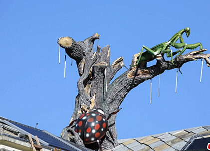 ����롱�롰ư�桱װ�����ũ��Ժ��