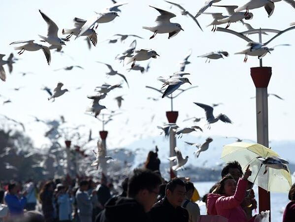 ����Խ������Ÿ�״γ���4��ֻ��