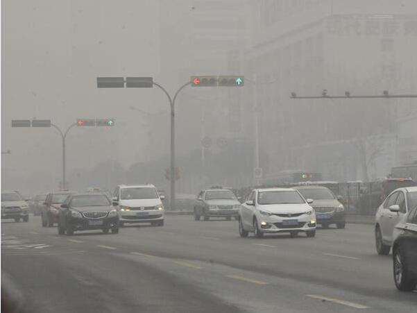 ɽ����������Ⱦ������ɫԤ����