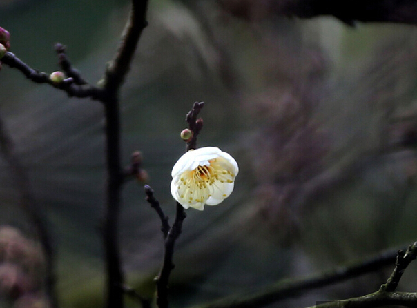 ���ݾ������� ��÷��������������ȳ���