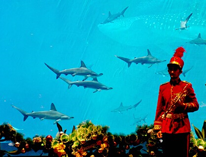 20ͷ˫���������麣��