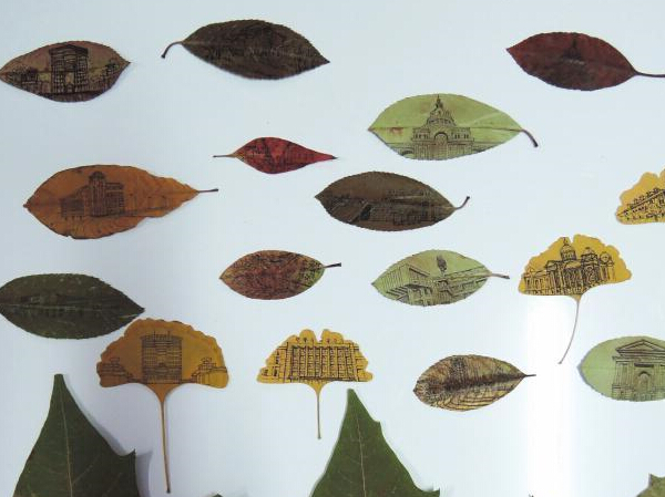 ��ѧ����Ҷ�ϻ�У԰�羰����ĸУ��